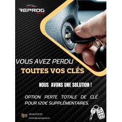 CLÉ VIERGE RENAULT KANGOO X76 MASCOTT TÉLÉCOMMANDE 2 BOUTONS 8201086049 PLIP