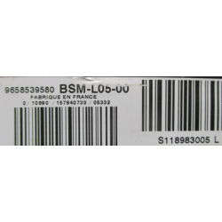 BSM L05 PEUGEOT 807 CITROEN C8 9658539580 S118983005L SIEMENS